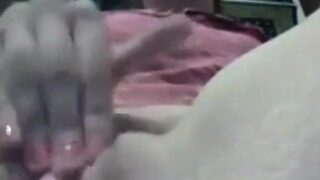 Girl Rubs Her Wet Pussy
