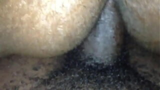 wife pussy