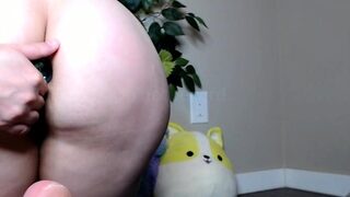 nekokitty i wore this plug all day today & i asked my