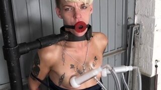 Small titted blond pornstar Samantha Ryan